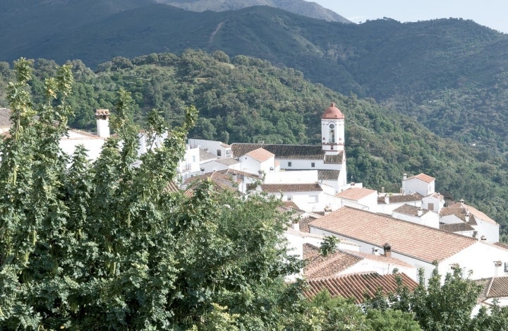Genalgüacil.[Bajo Genal/Valle del Genal].Comarca Serranía de Ronda.Provincia de Málaga.