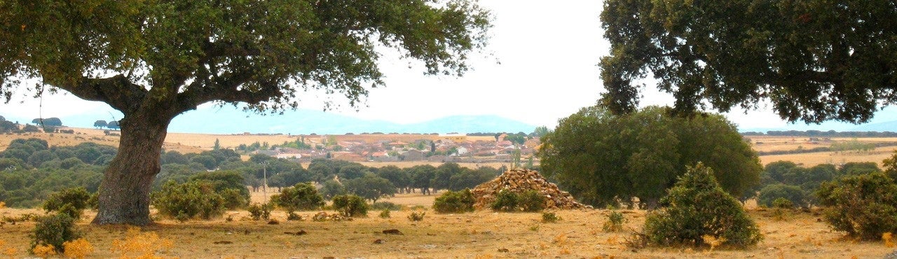 Carrascal del Obispo