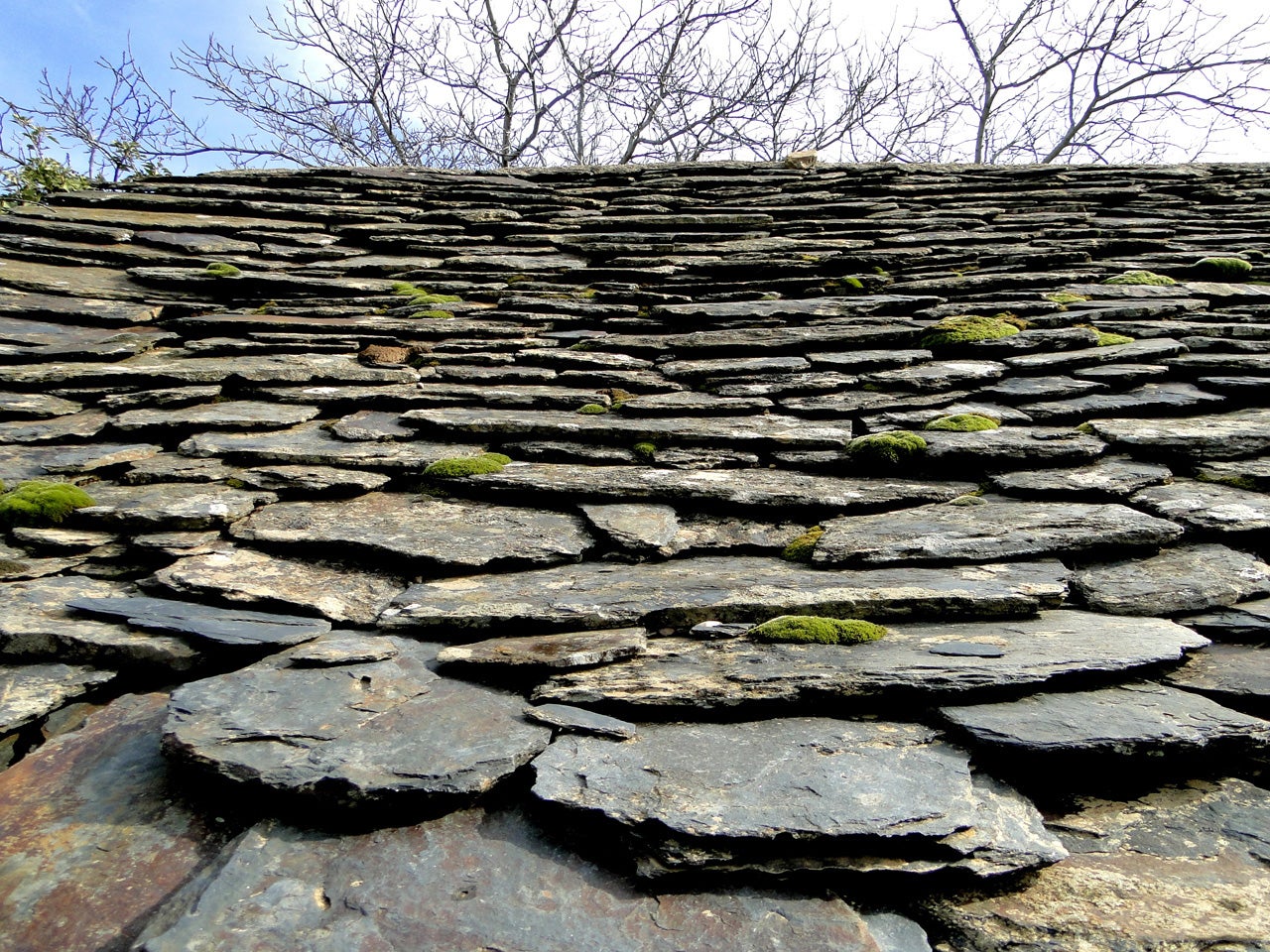 Las Navas de Jadraque (Guadalajara) Planes e información turística