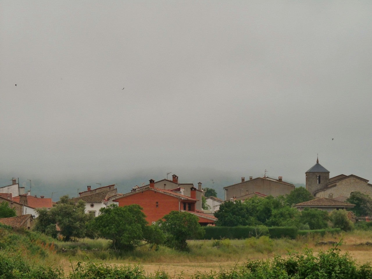 Higuera de las Dueñas
