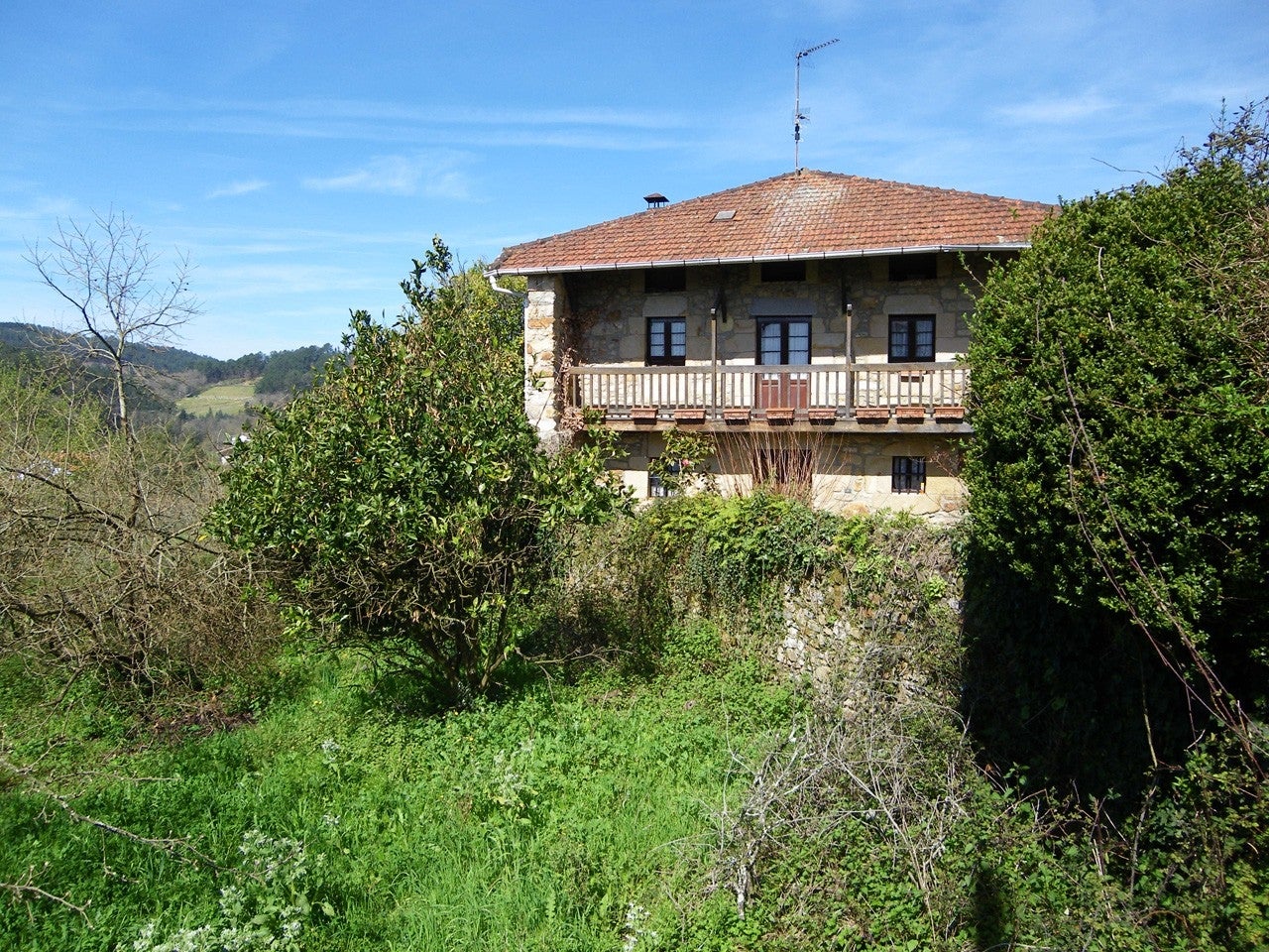 Mungia
