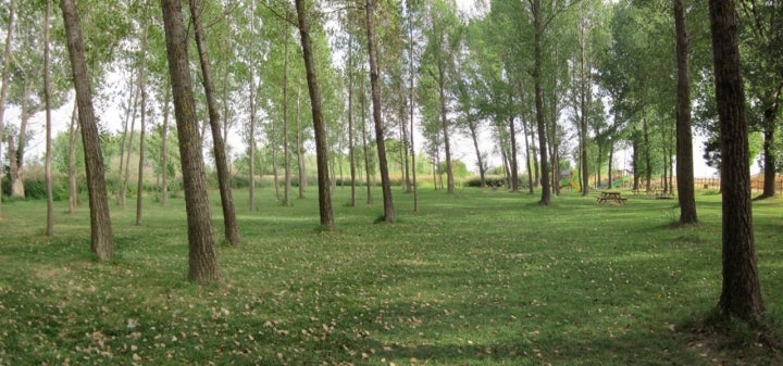 Parque en Ojos de Monreal del Campo. Foto: Jomora94 vía Wikipedia / CC BY-SA.