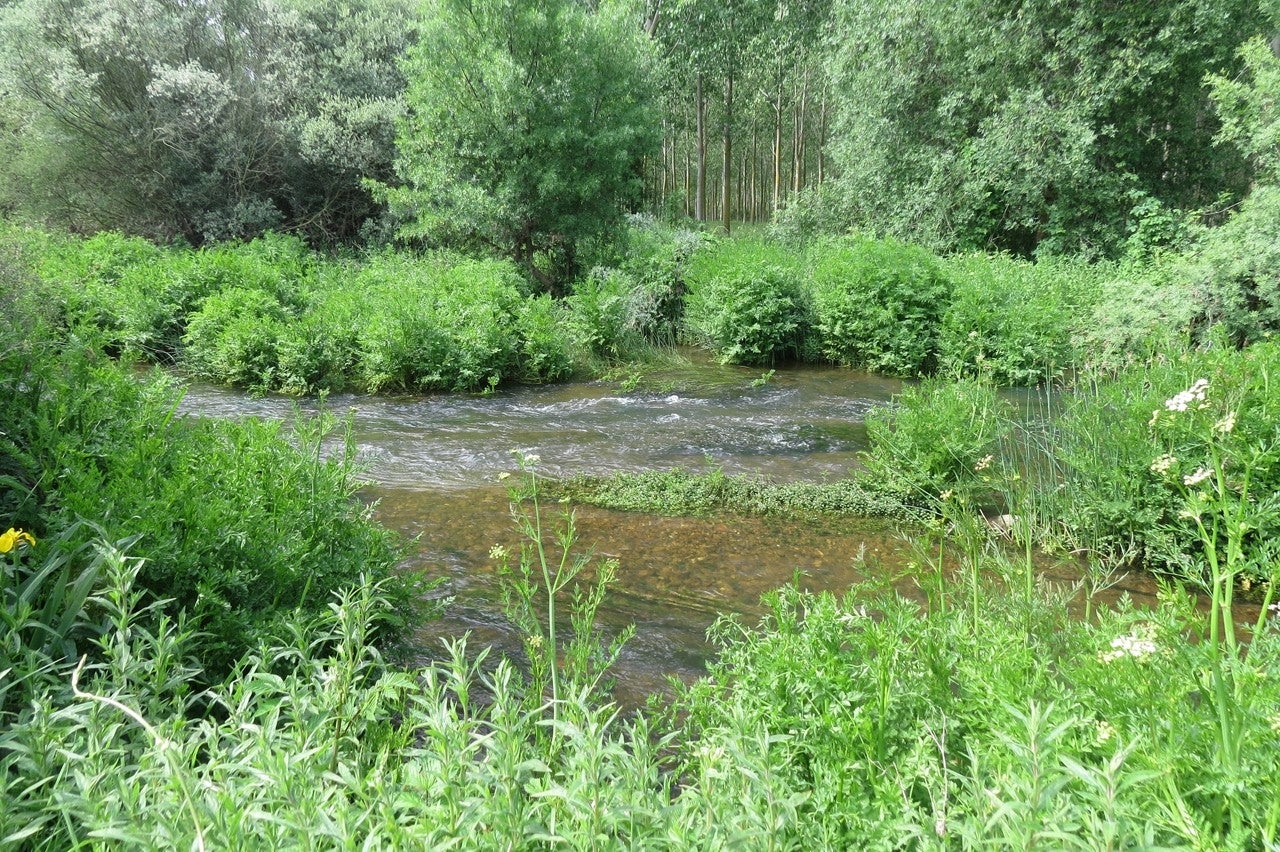 Castrotierra de Valmadrigal