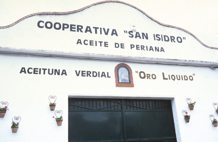 Cooperativa San Isidro de aceite, ubicada en Periana. Fotografía: Miguel Ángel Toro vía Patronato de Turismo de la Costa del Sol.