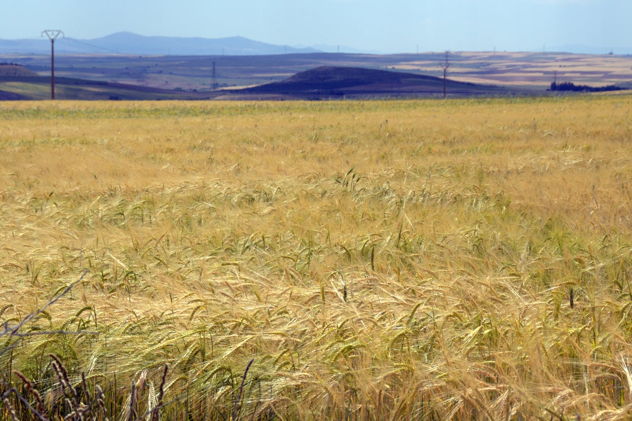 Aldeanueva del Codonal (Segovia) - Planes e información turística ...