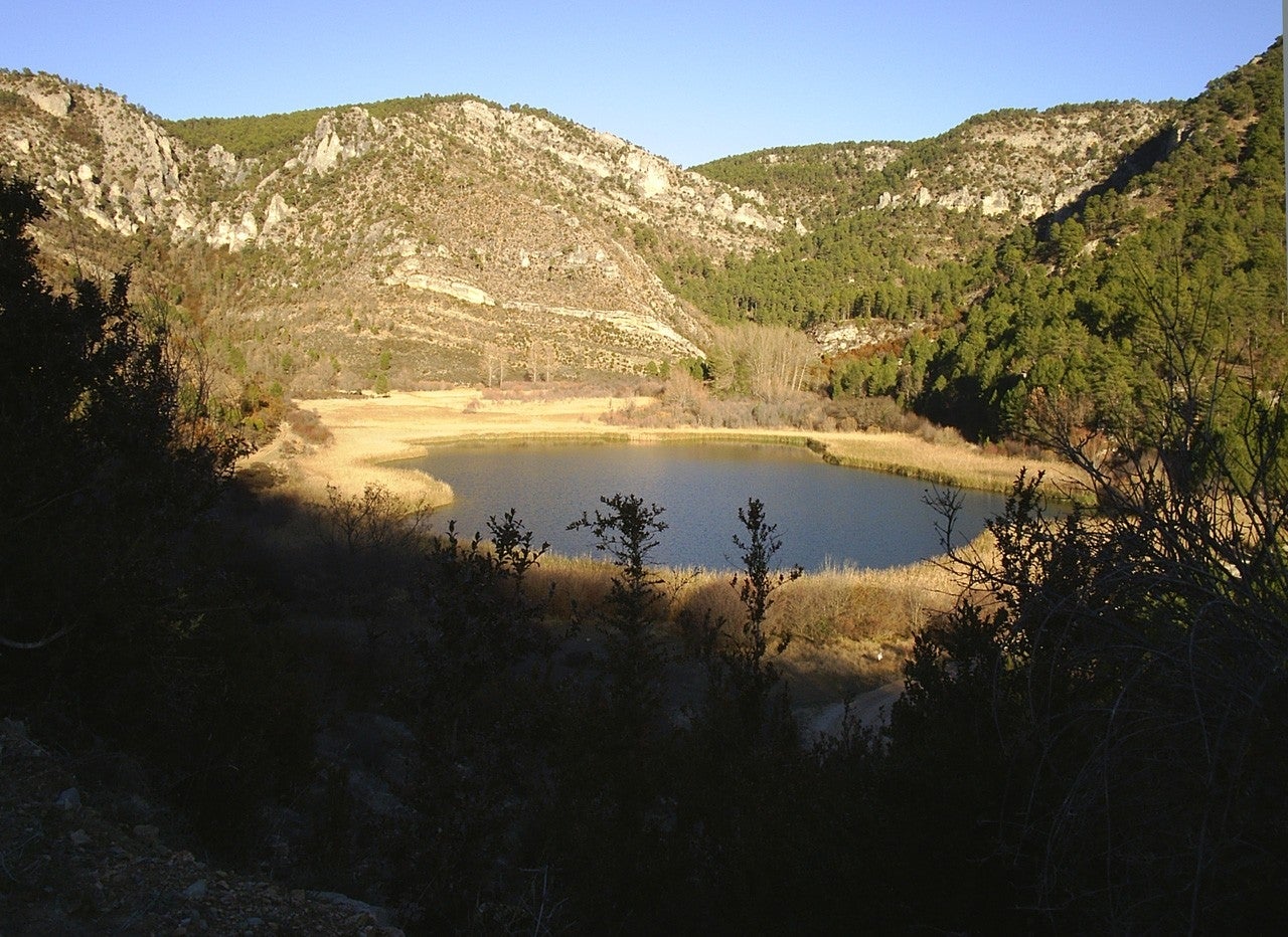 Pinilla de Molina