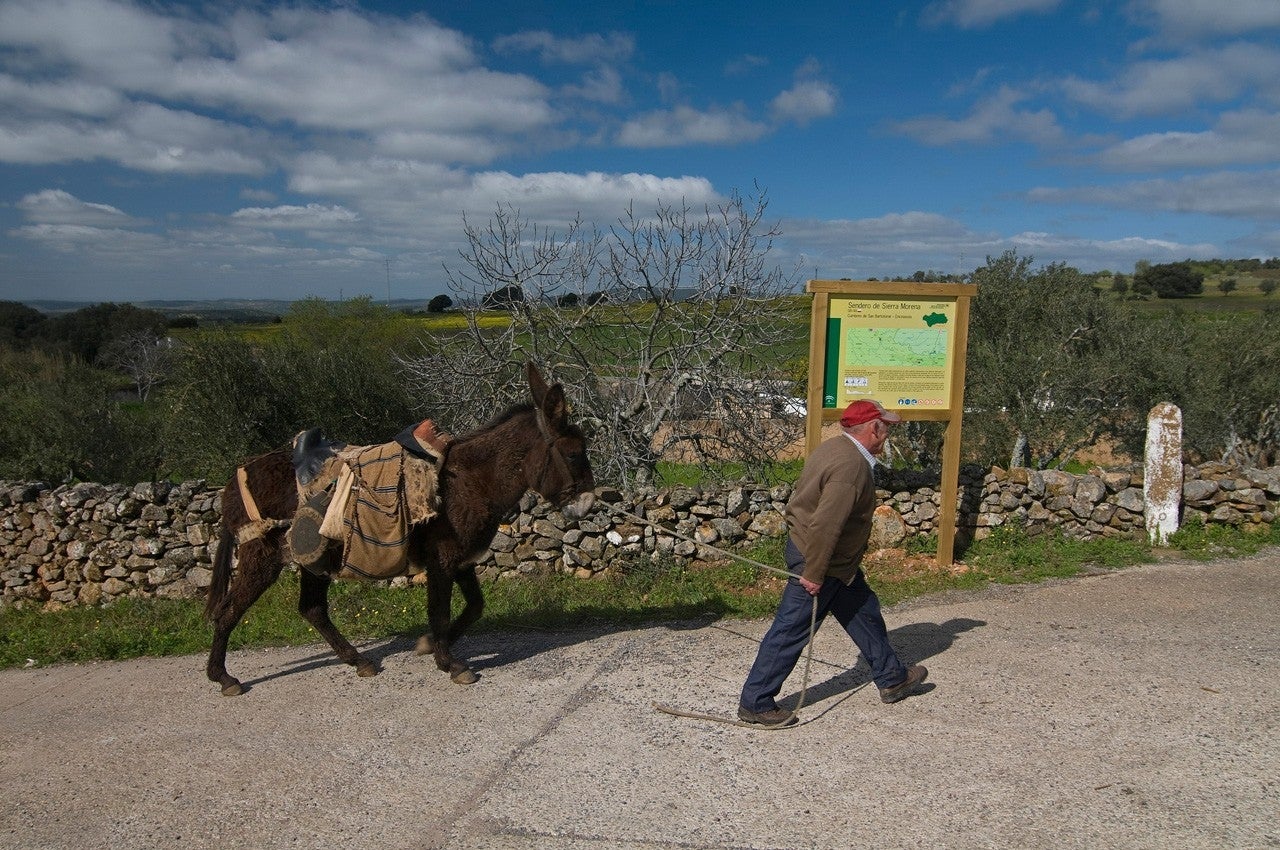 Cumbres de San Bartolomé
