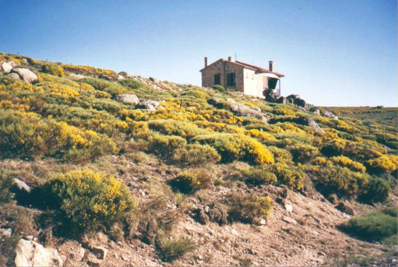 Santiago del Collado