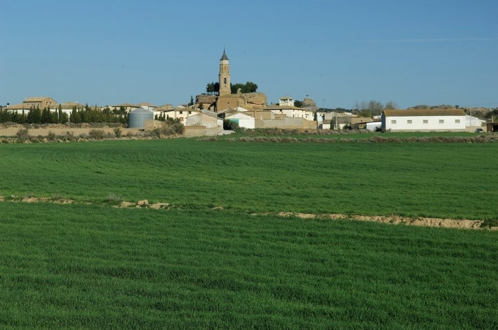 Panorámica de Albero Alto con la torre de la iglesia de la Natividad de Nuestra Señora. Foto: Comarca de la Hoya