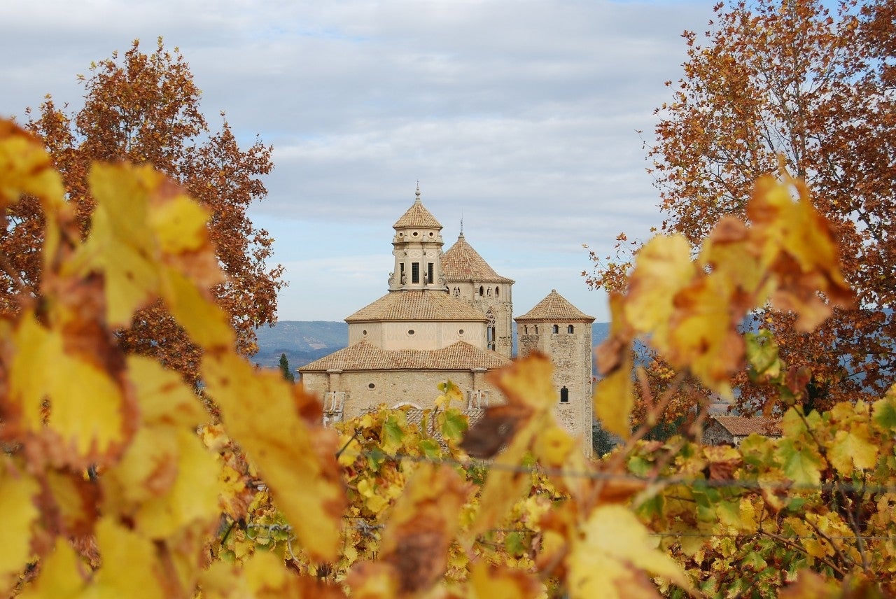 Vimbodí i Poblet