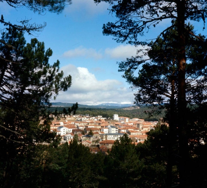 Navaleno, un oasis para los amantes de los bosques y la micología. Fotografía: Turismo Soria.