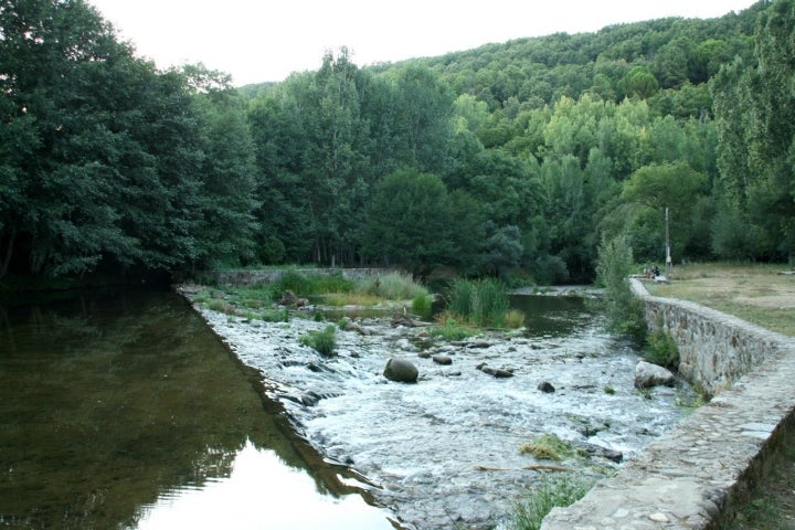 Está en los entornos del LIC de Valle de Cuerpo de Hombre. Foto: Discasto via Wikipedia / CC BY-SA.