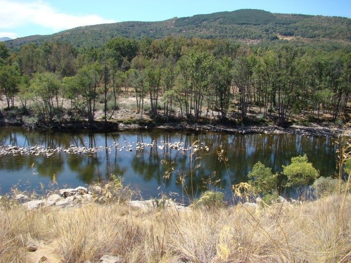 Junciana se encuentra cerca de la ribera del río Tormes. Foto: MerceB vía Wikipedia / CC BY-SA.