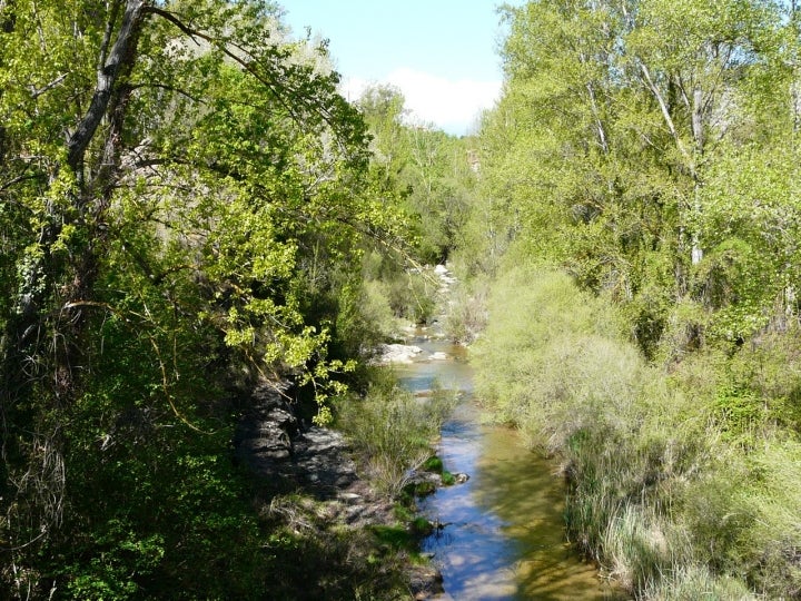 Vista del río Mijares que pasa por San Agustín. Foto: Aperucho123 vía Wikipedia / CC BY-SA.