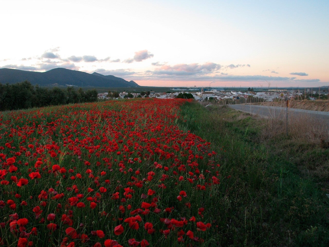 La Roda de Andalucía