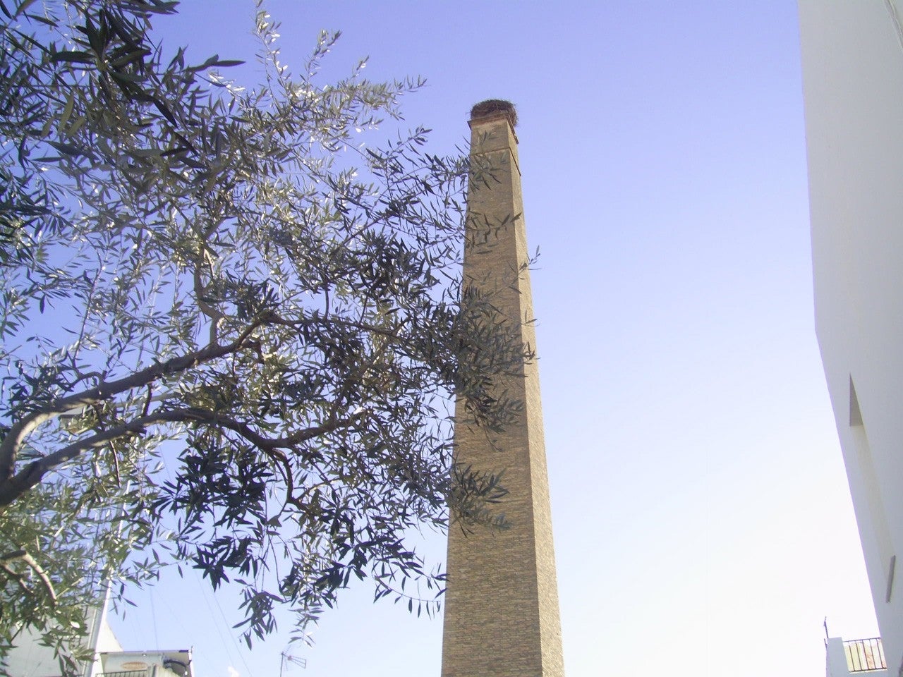 Brenes