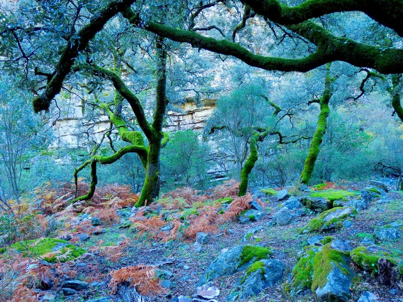 San Miguel de Valero