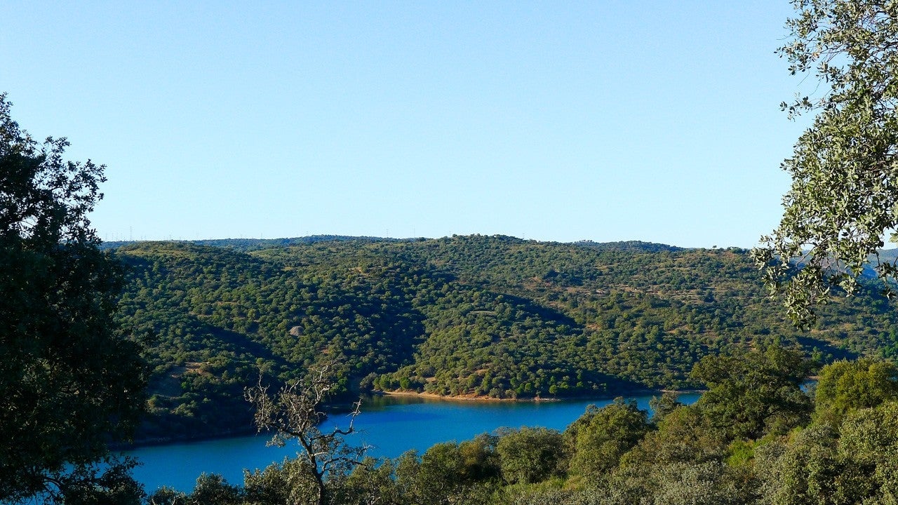 Guillena
