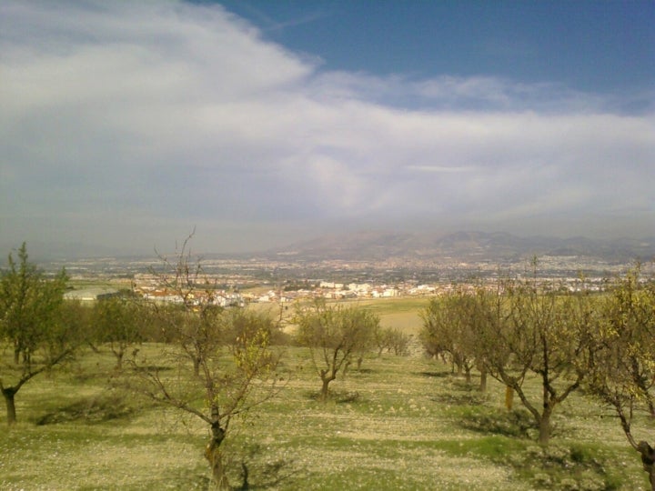 Vista panorámica de Las Gabias, pueblo a sólo siete kilómetros de Granada capital. Fotografía: Takeshi Nakagawa vía Wikipedia.
