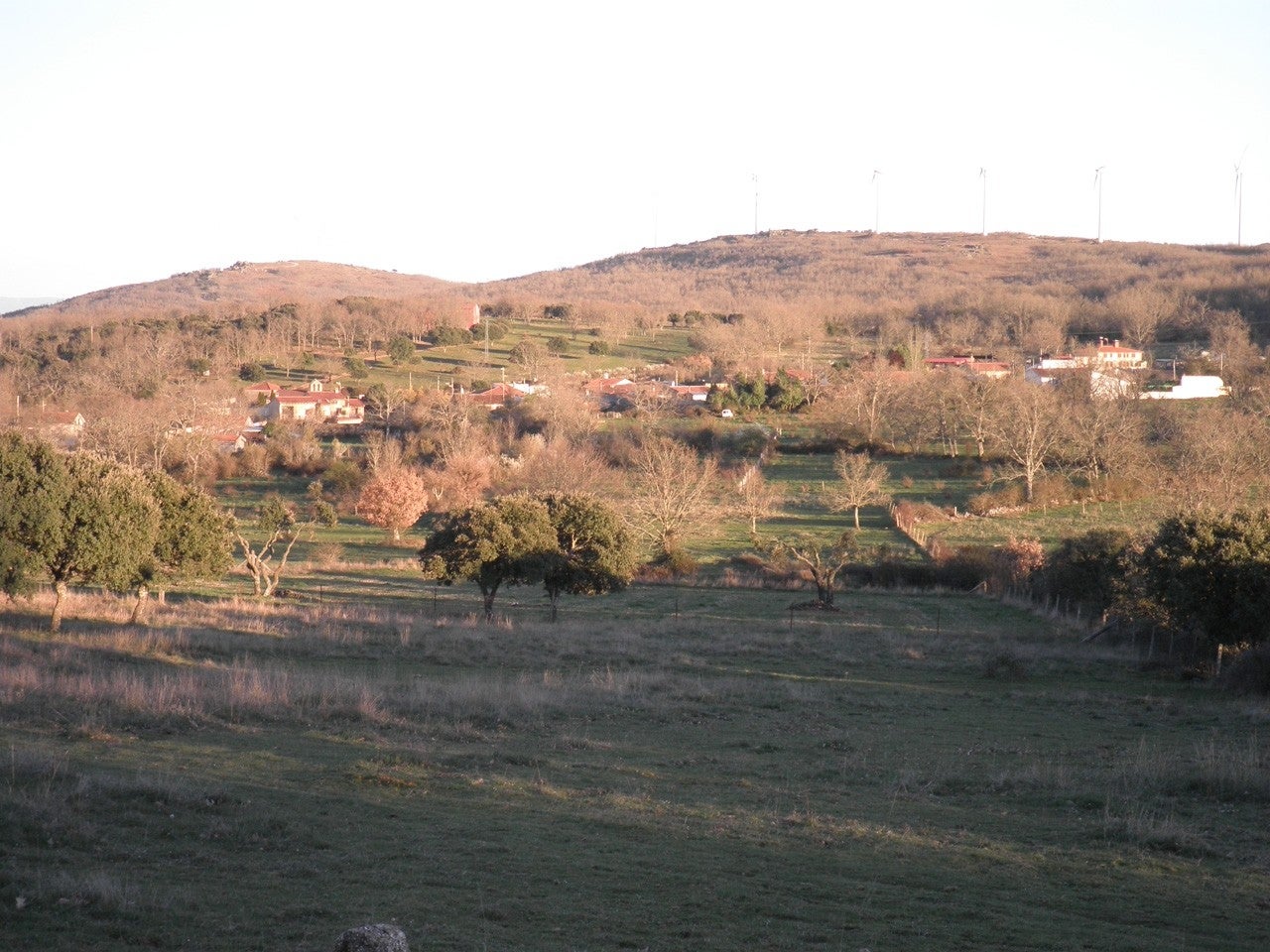Membribe de la Sierra