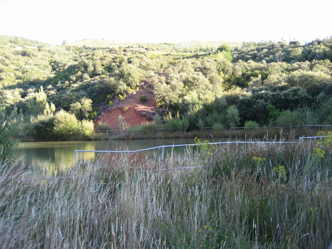 Castropodame