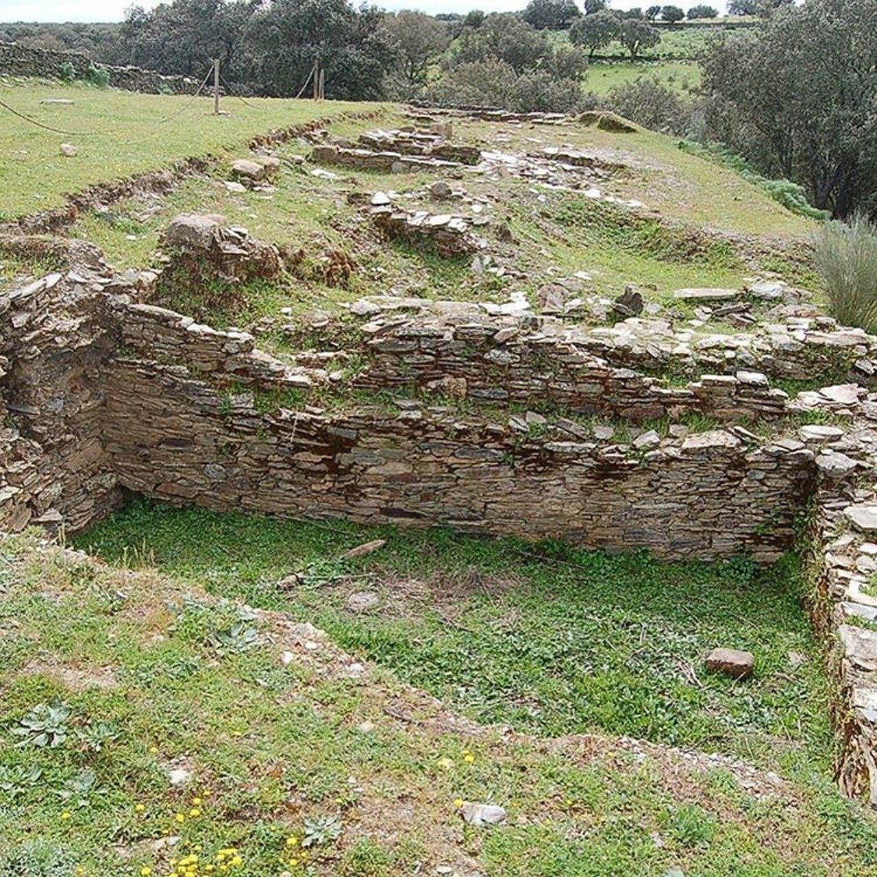 Botija