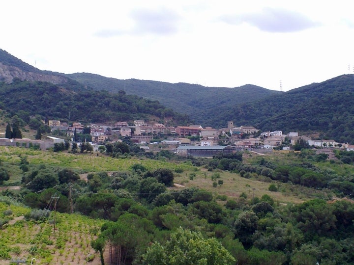 Panorámica de algunos viñedos de este municipio, incluido en la Denominación de Origen Alella. Fotografía: llogaret@yahoo.com vía Visualhunt / CC BY.