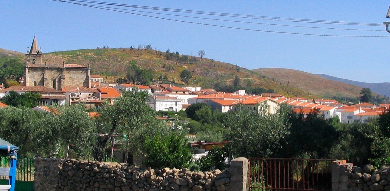 Hoyos