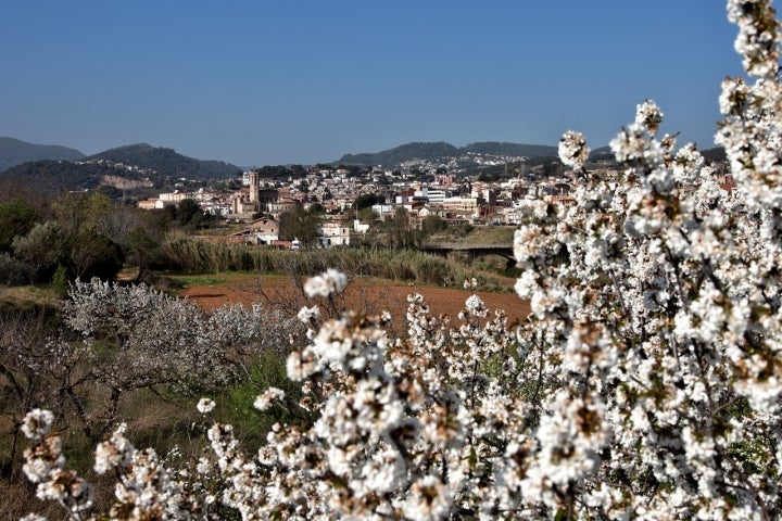 Panorámica de Caldes de Montbui. Foto: Arxiu Museu Thermalia.