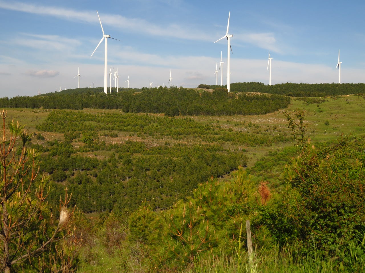 Aldeanueva de la Serrezuela (Segovia) Planes e información turística