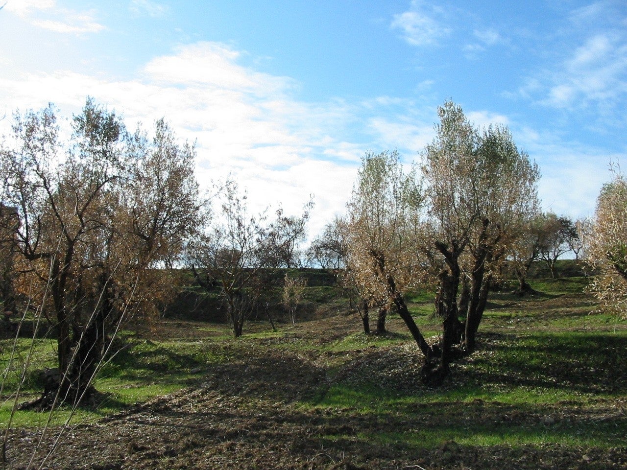 Estadilla