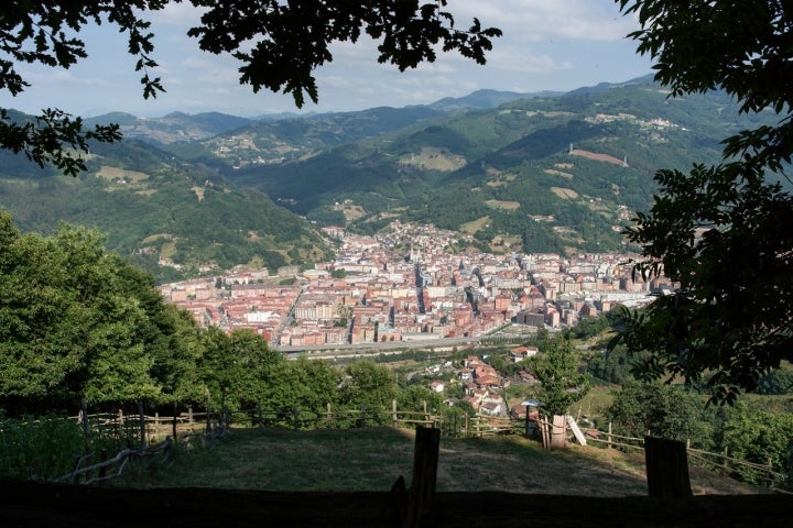 SONY DSC