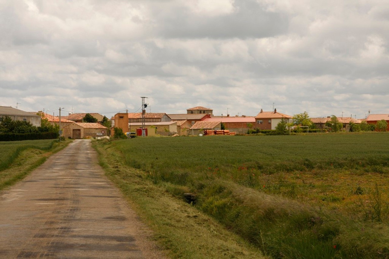 Fresno de Rodilla