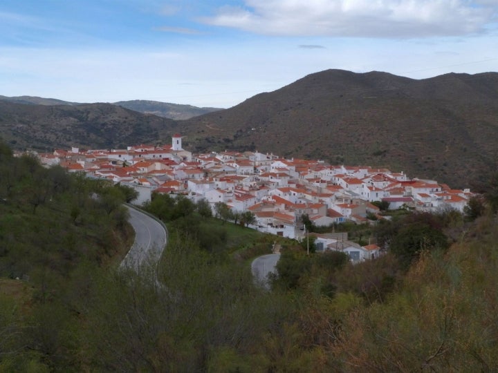 Vista panorámica de Alcudia de Monteagud, pueblo almeriense que mima su pasado. Fotografía: Ziegler175 Wikipedia.