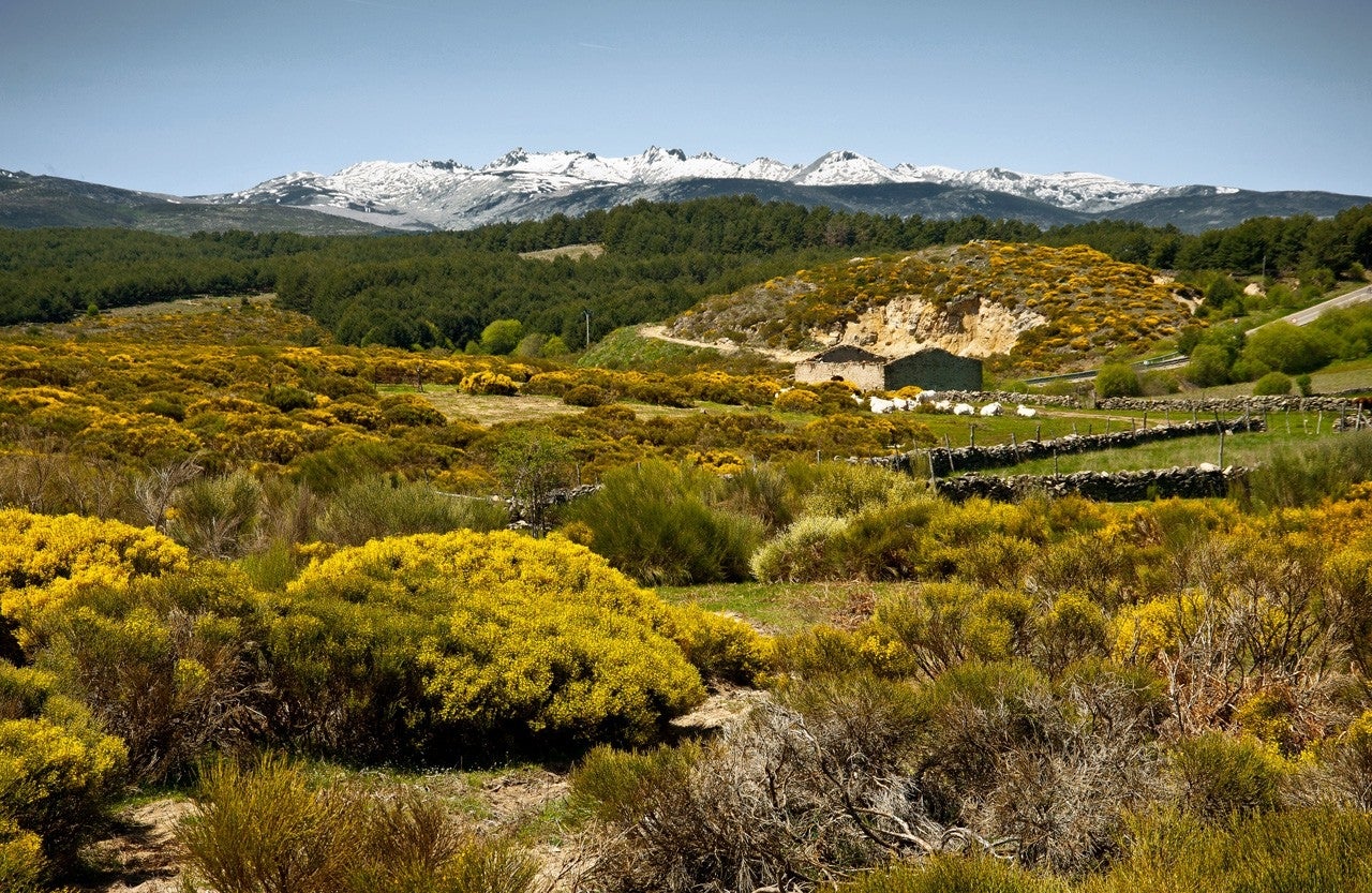 Navarredonda de Gredos