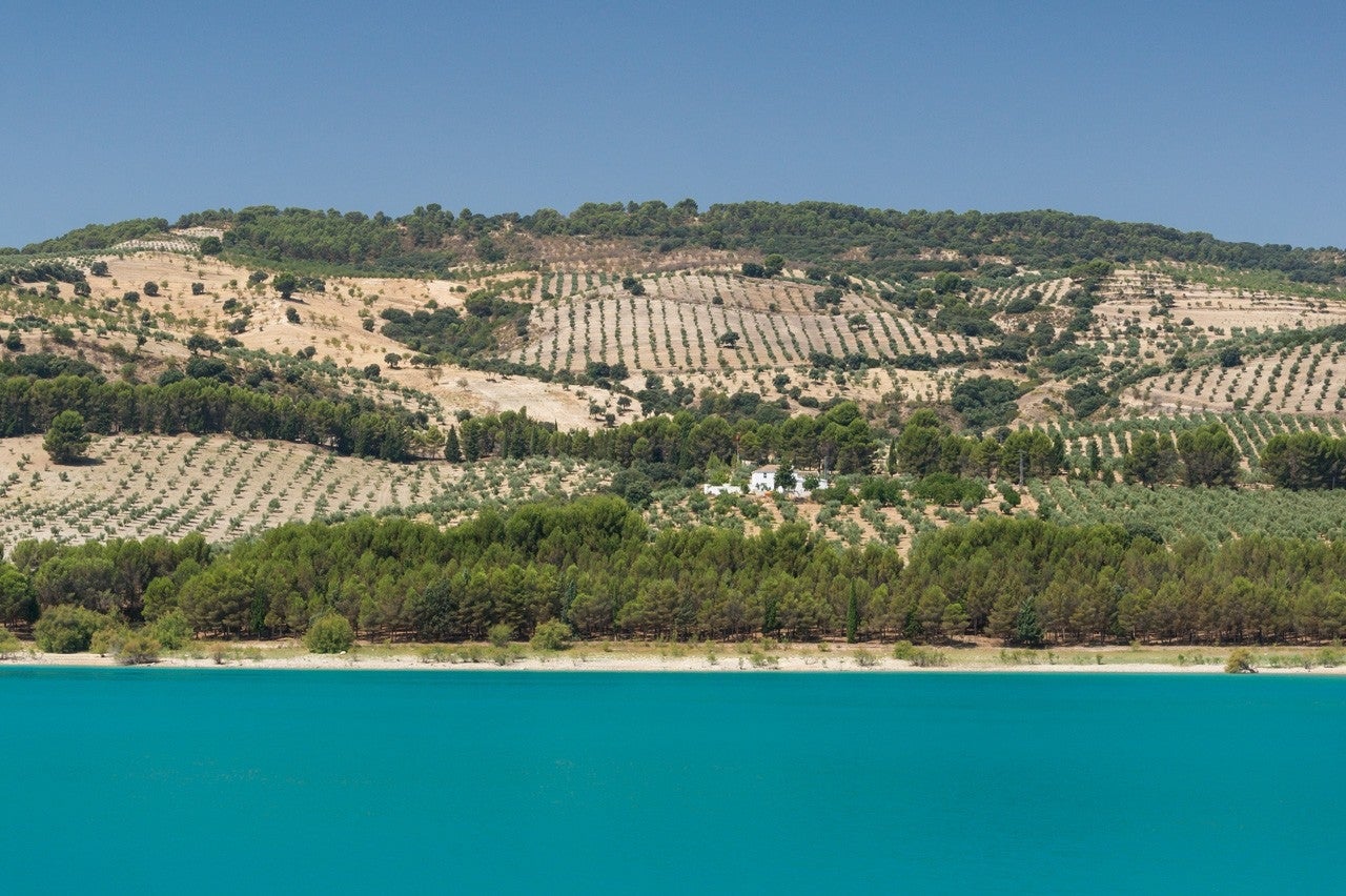 Arenas del Rey