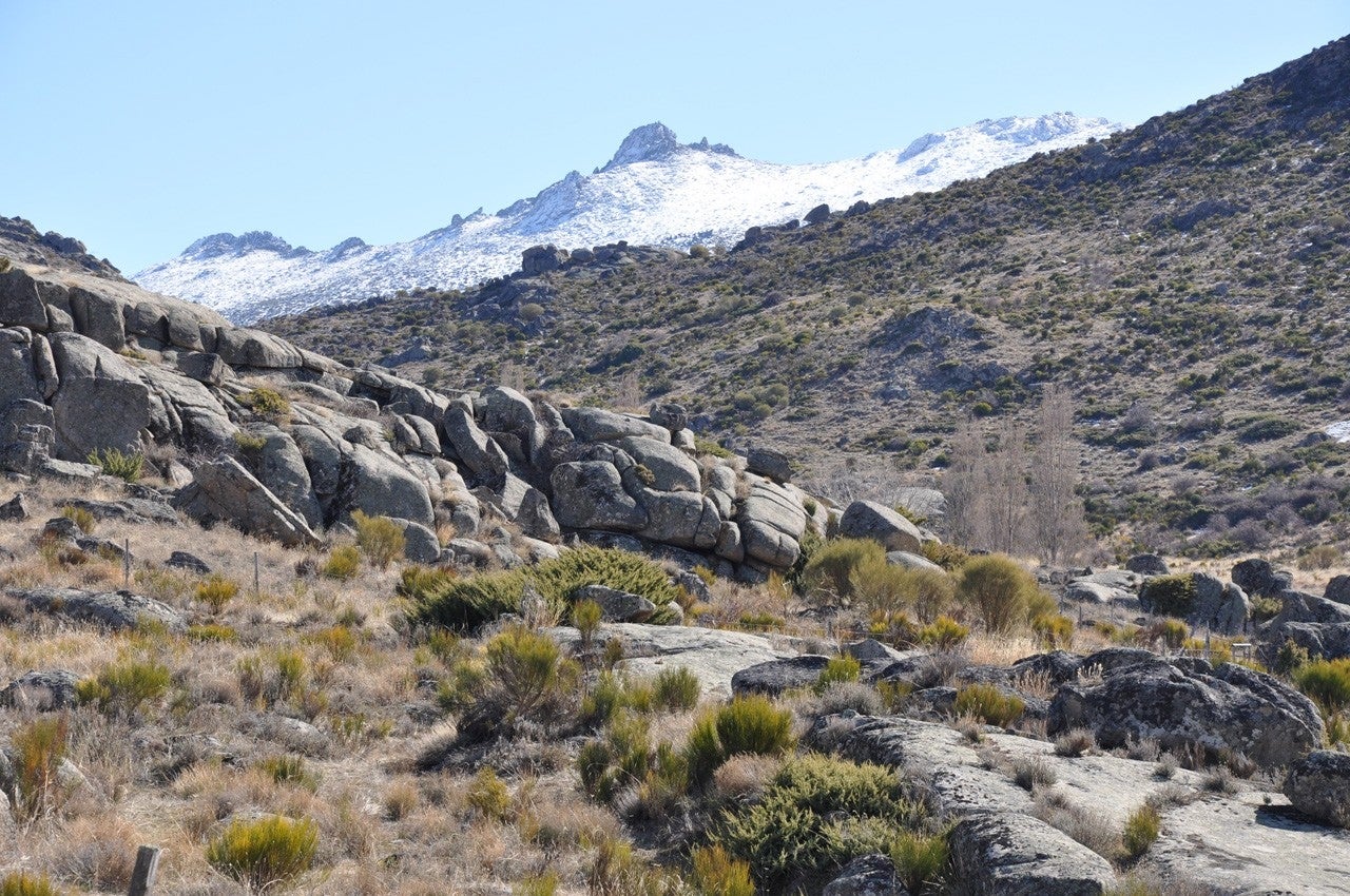 Navarredondilla