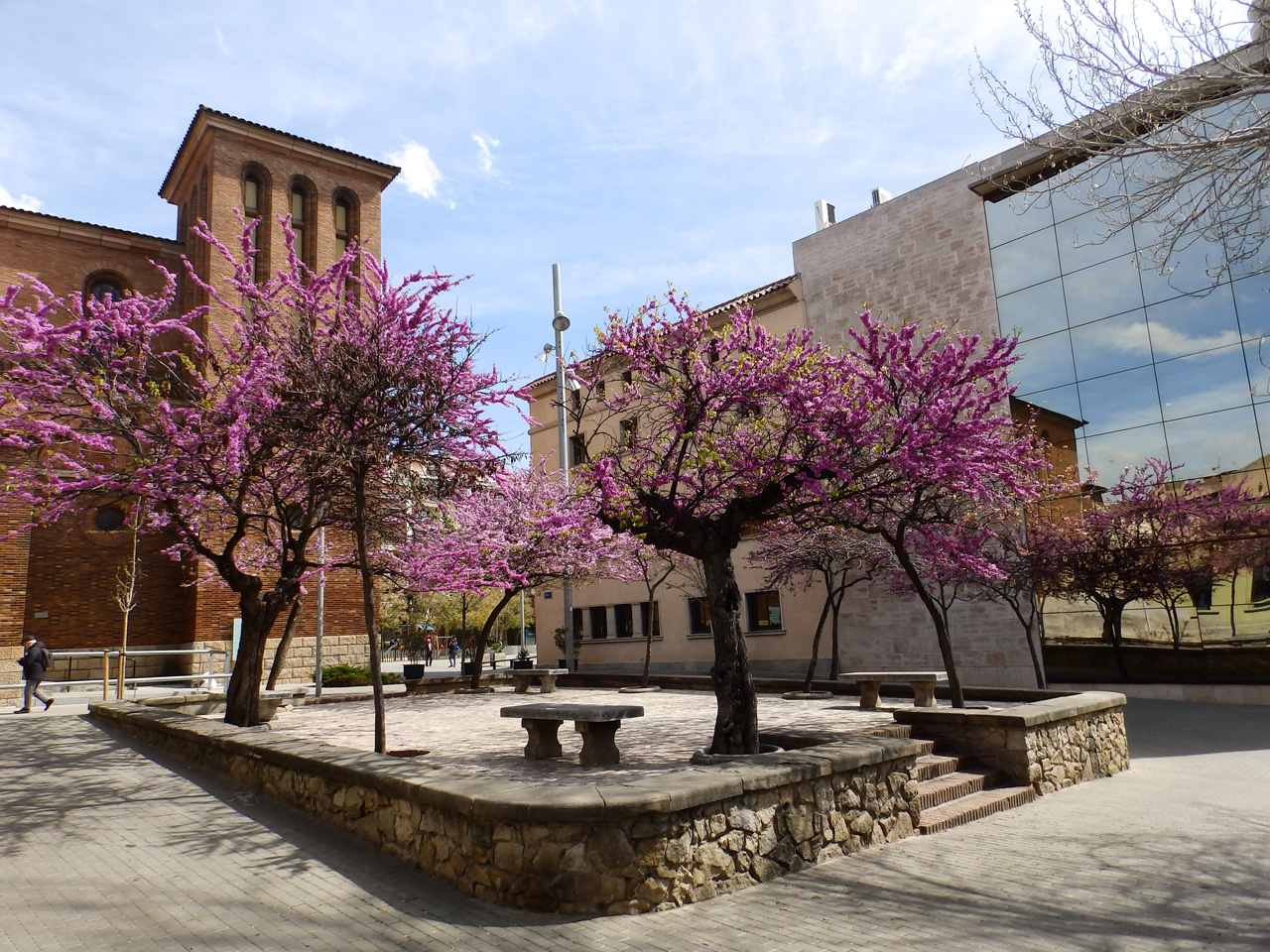 Cornell De Llobregat Barcelona Planes E Informaci n Tur stica 