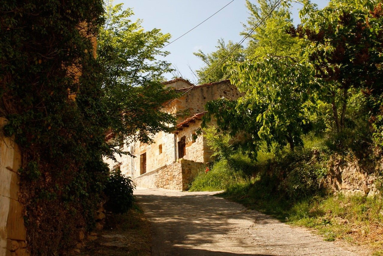 Valle de Zamanzas
