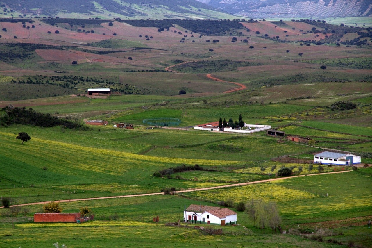 Fontanarejo
