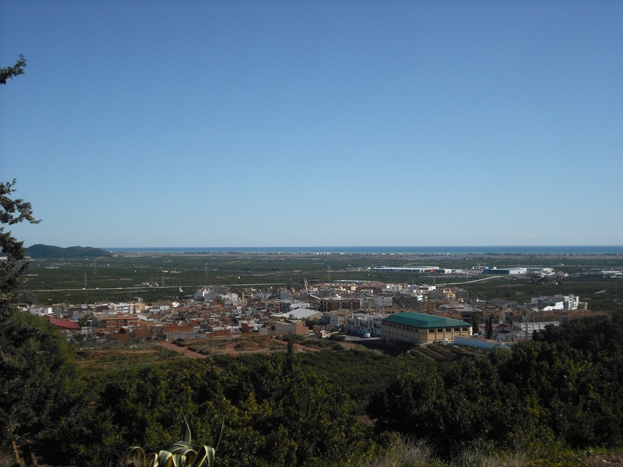 Faura