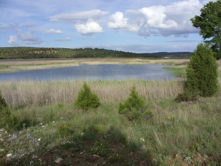 Laguna de Villaverde, uno de los atractivos naturales de Robledo. Fotografía: The man who shot liberty valance vía Wikipedia / CC BY-SA.