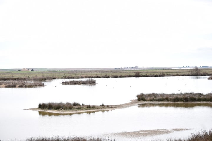 Este municipio zamorano se encuentra en la Zona de Especial Protección de Aves de Lagunas de Villafáfila. Foto: Hispania Nostra vía Wikipedia / CC BY.