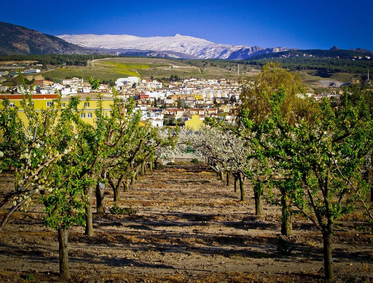 Cájar