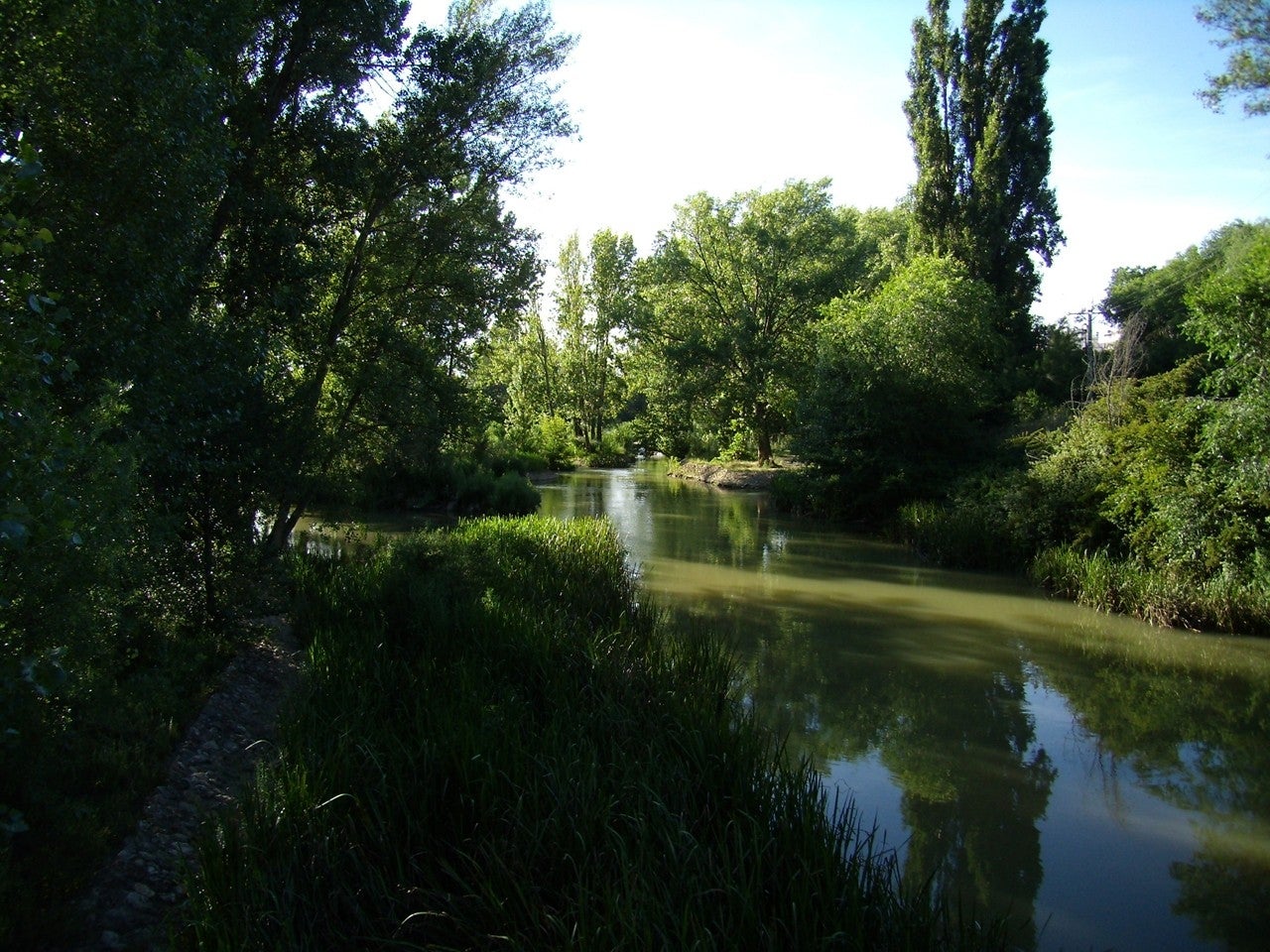 Bustillo de la Vega