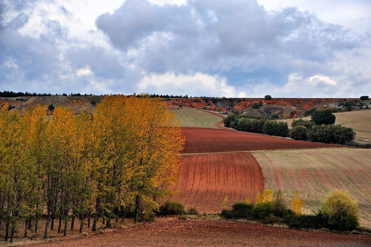 Castrojimeno