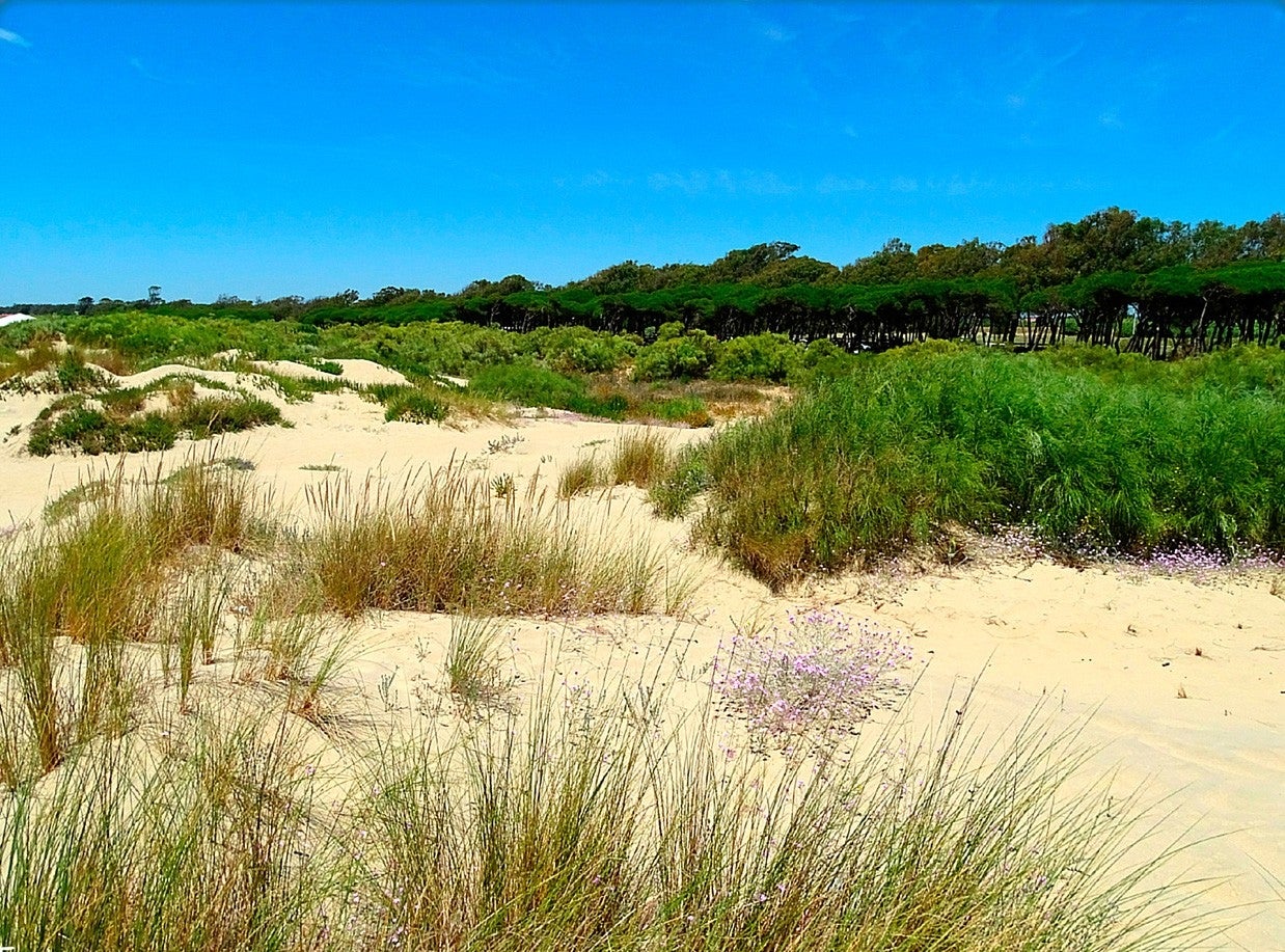 Isla Cristina