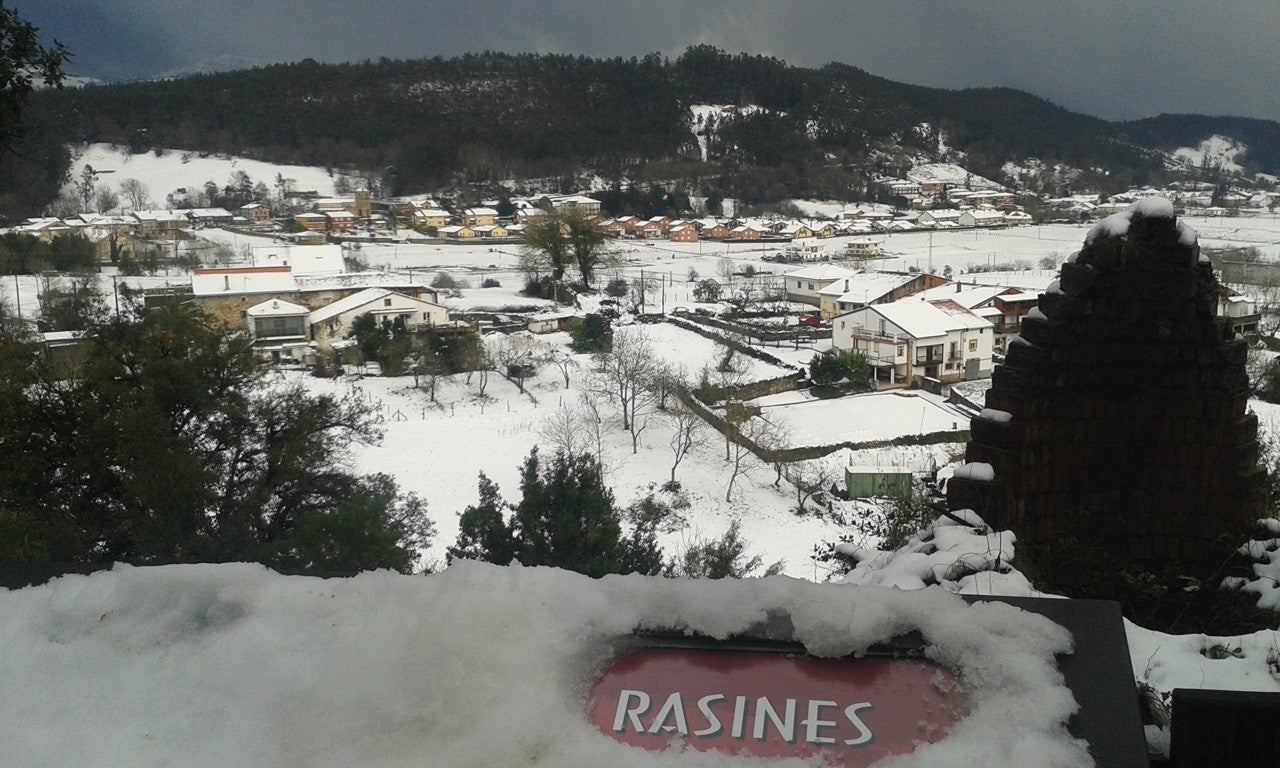 Rasines