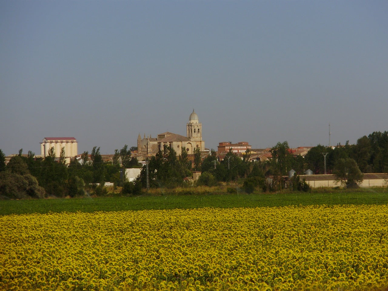 Melgar de Fernamental (Burgos) Planes e información turística Guía