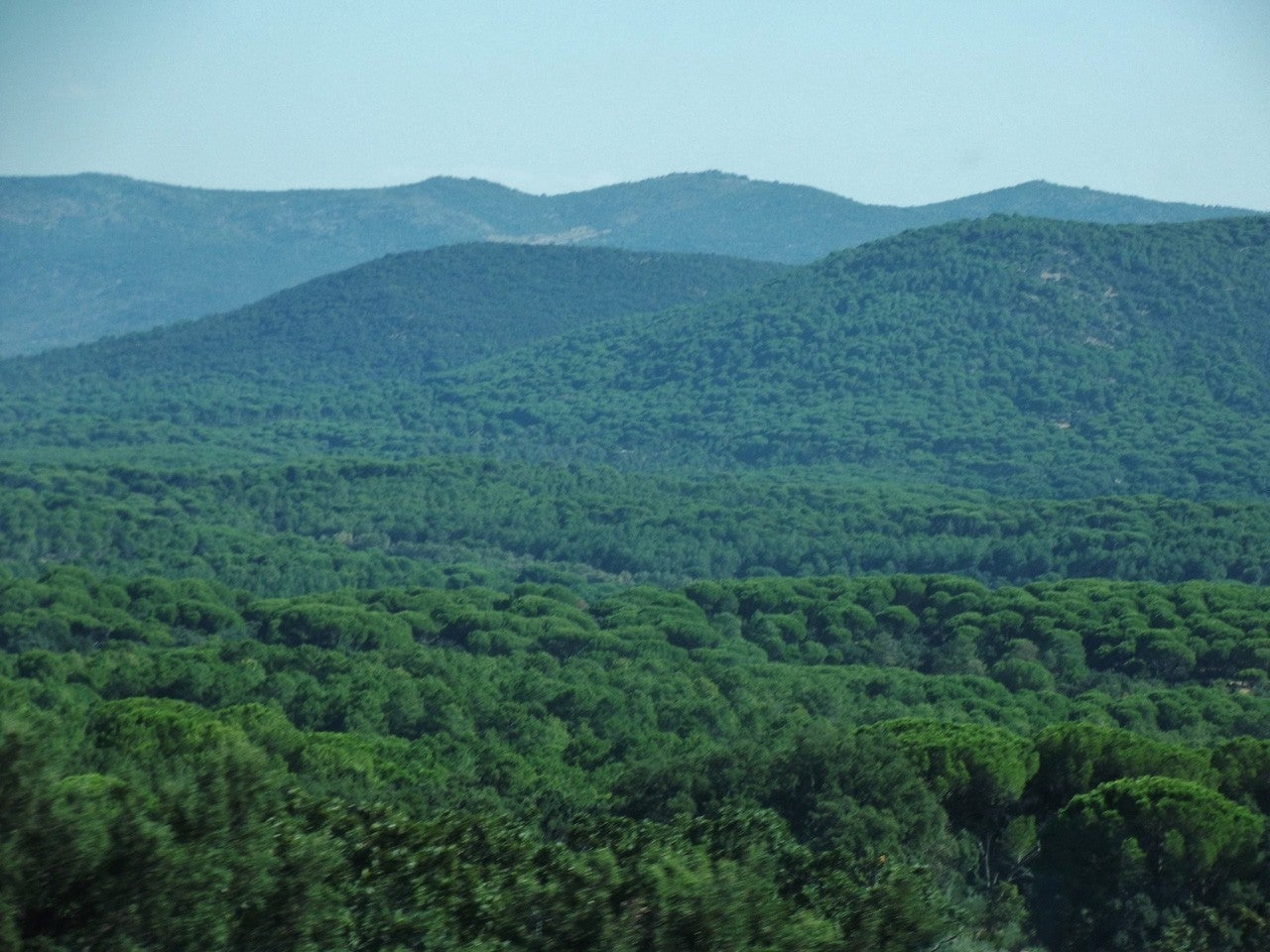 Hinojosa de San Vicente
